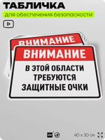 Табличка для обеспечения безопасности "В этой области требуются защитные очки", для производства, предприятия, организаций, 40х30 см, Silver Plane x Айдентика Технолоджи