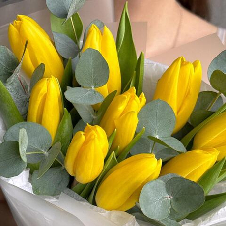 Желтые тюльпаны с эвкалиптом