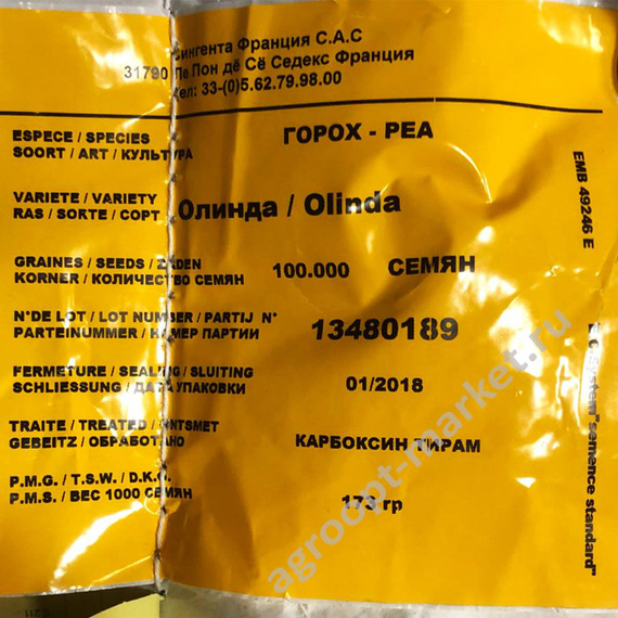 Олинда семена гороха (Syngenta / Сингента) – фото 3