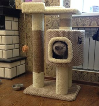 Дом для кота КУН-3 (мейн-кун)