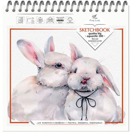 Блокнот-скетчбук Fine Line QUADRO BIG 12 листов на металлическом гребне