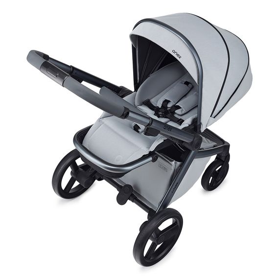 Коляска ANEX l/type 2 в 1 (lt-10t) frost + Аксесcуары