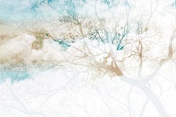 Коллекция VETVE