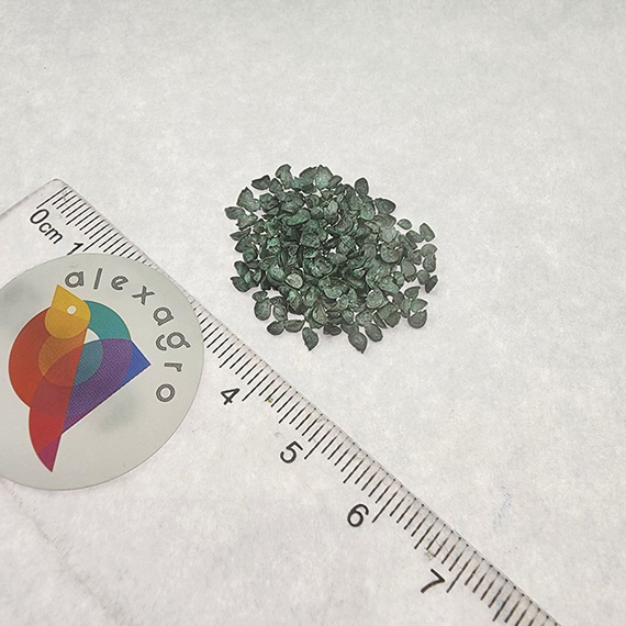 Кайгаро семена лука на перо – фото 6