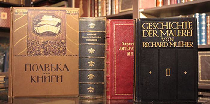 Литературоведение, Языкознание