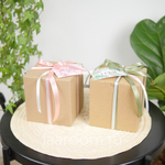 Суккулент в кашпо №7