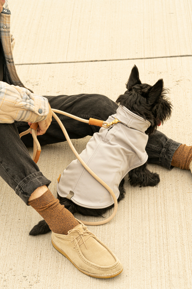 Попона "Пони-попони" светло-серая