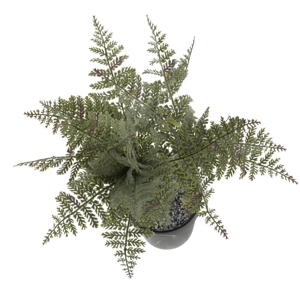 GAEM Цветочная композиция "Папоротник", L20 W20 H66 см