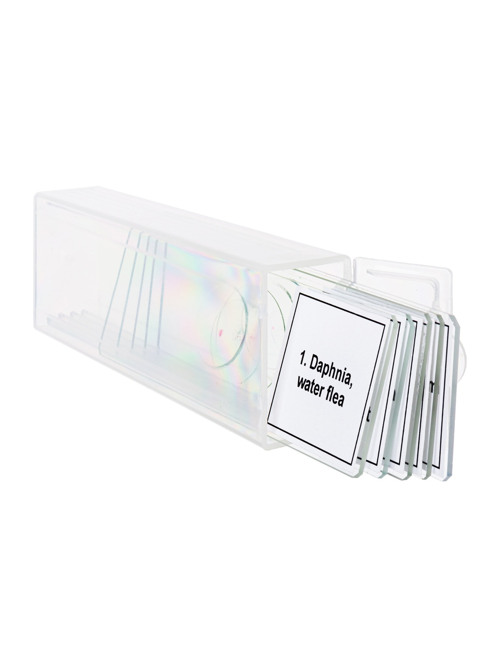 Набор микропрепаратов Levenhuk Discovery Prof DPS 5. «Жизнь в капле воды»