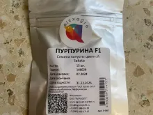 ПУРПУРИНА F1 семена капусты цветной (Sakata | Alexagro)