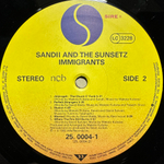 Sandii & The Sunsetz - Immigrants (Германия 1982г.)