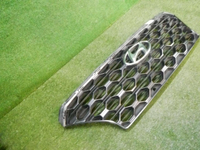 Решетка радиатора Hyundai Santa Fe 4 TM (2018-2021)