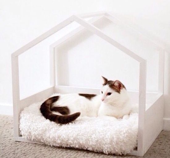 Один дома по-кошачьи