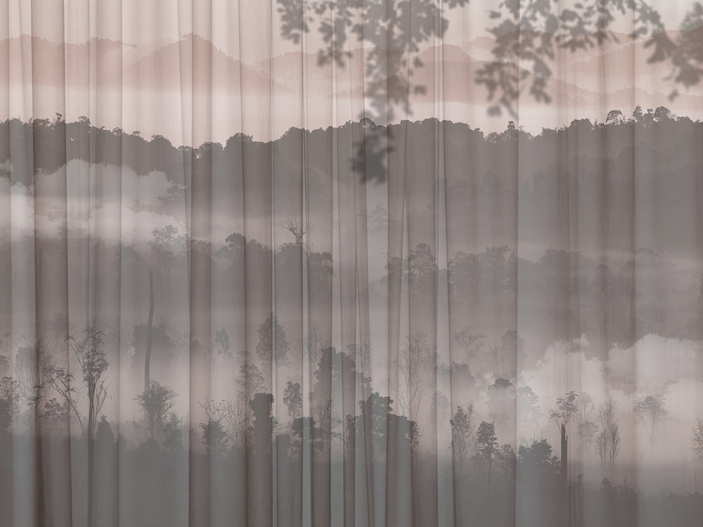 Коллекция FORESTA