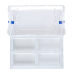 муравьиная ферма Direct