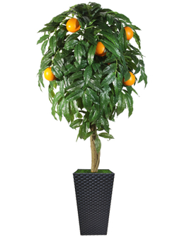 Искусственное дерево Апельсин 150см в высоком коричневом кашпо ротанг