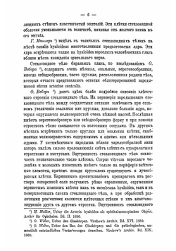 О клетках стекловидного тела | Потехин Анатолий Антипович