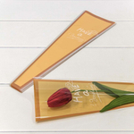 Пленка В листах 30 шт 12.5 х 4 х 40 см "Конус для цветов" (Оранжевый)