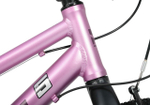 Детский велосипед Maxiscoo 5Bike 20'' Girl (2025)