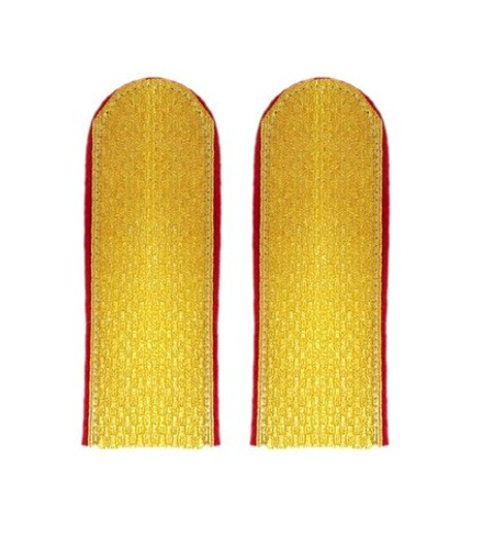 Погоны парадные золотые металлизированные ФСИН краповый кант