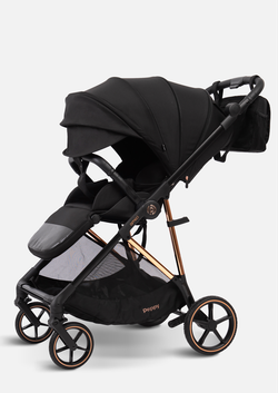 Peppy Коляска прогулочная Amici (Black) рама Gold (LX)