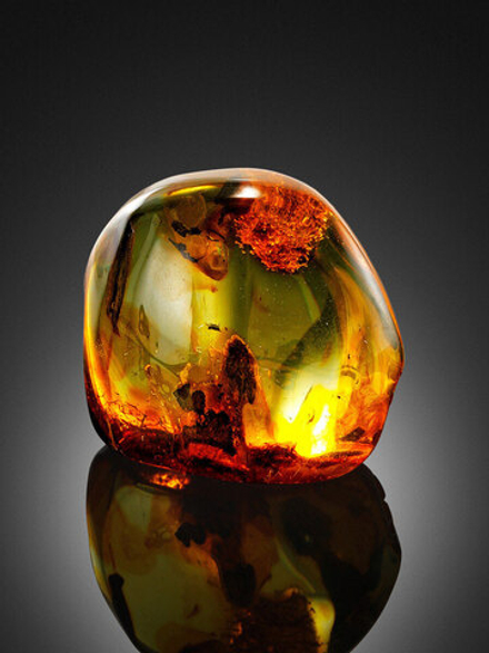 AMBRE 83 base / АМБРА 83 CAS -