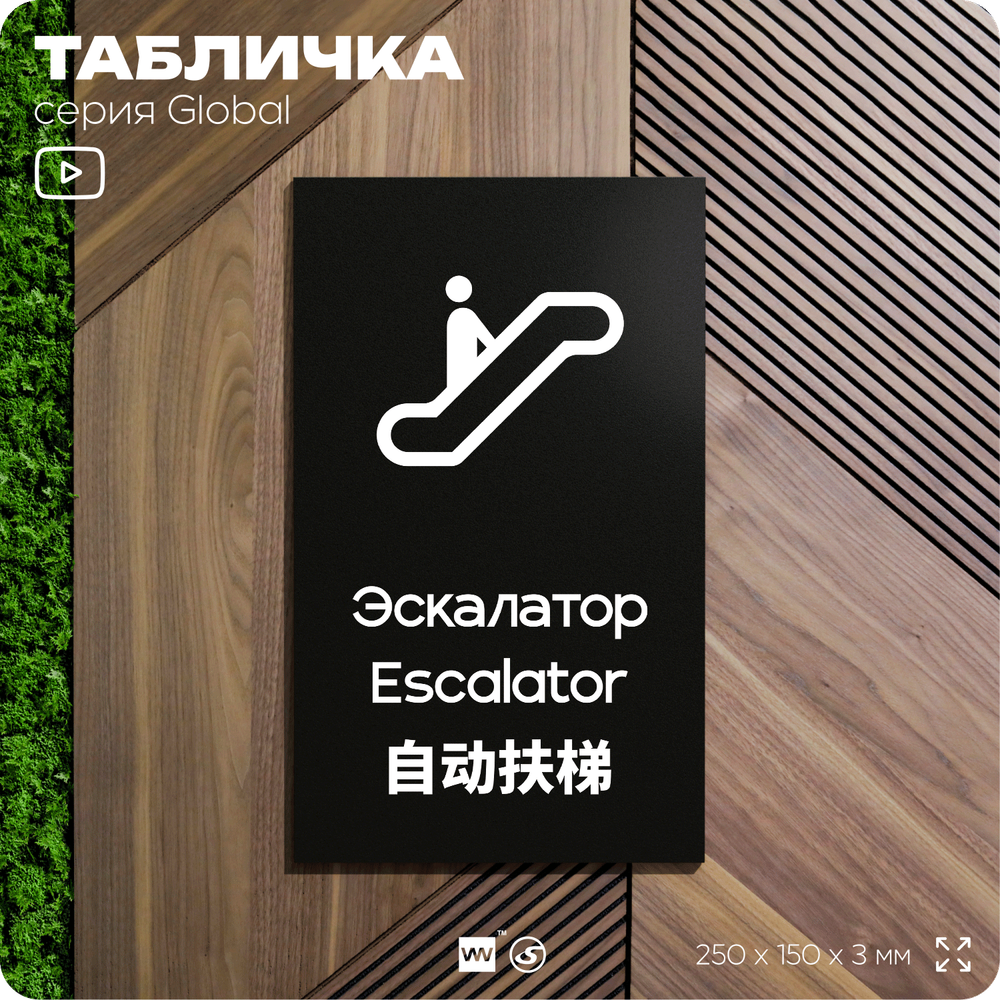 Табличка Эскалатор, на дверь и стену, информационная и мультиязычная (русский, английский, китайский), серия GLOBAL, 25х15 см, Айдентика Технолоджи