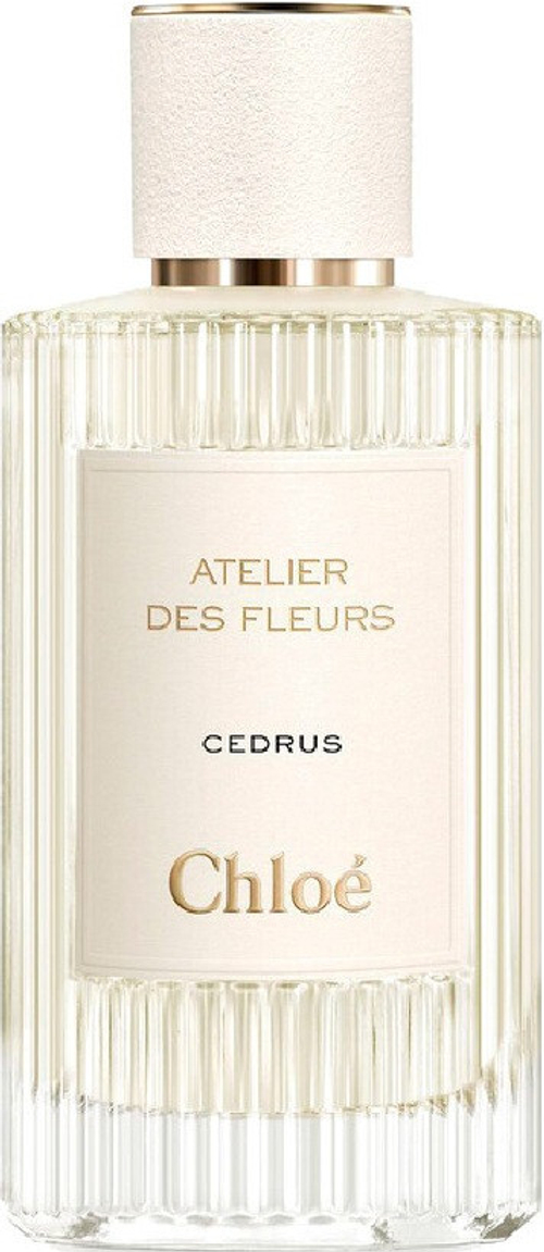 CHLOE Atelier Cedrus