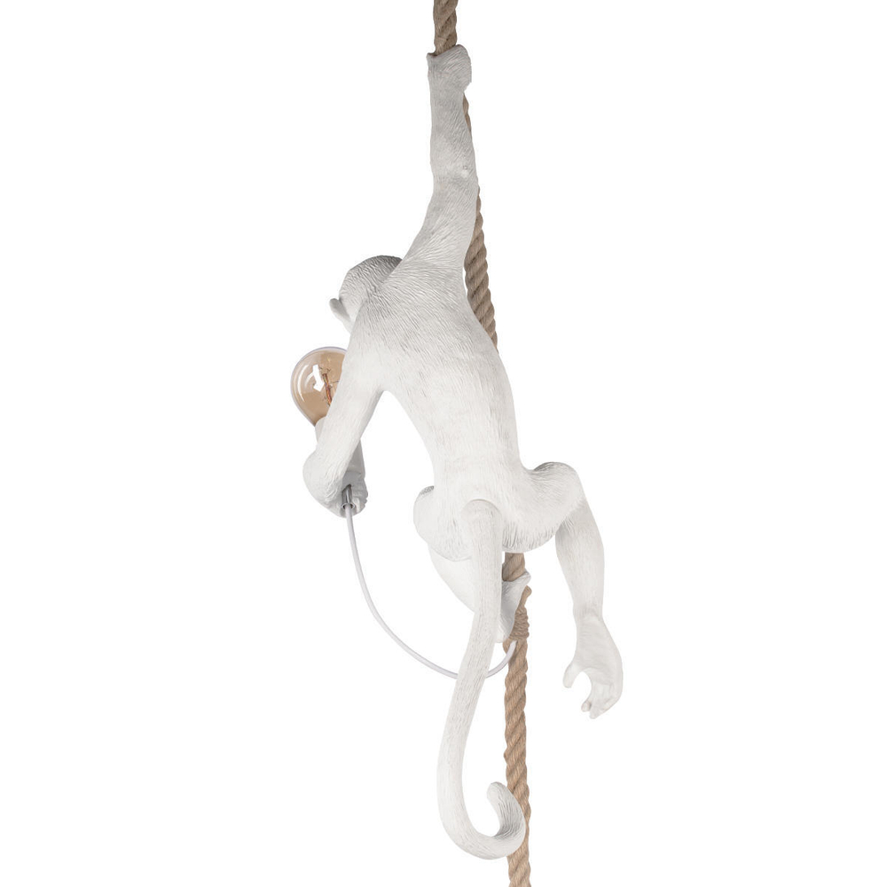 Светильник Подвесной It Monkey Loft 10314P