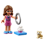 LEGO Friends: Игровая площадка для хомячка Оливии 41383 — Olivia's Hamster Playground — Лего Френдз Друзья Подружки