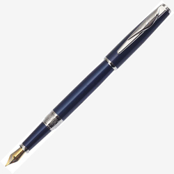 Перьевая ручка Pierre Cardin SECRET Business PCA1564FP цвет синий в подарочной коробке