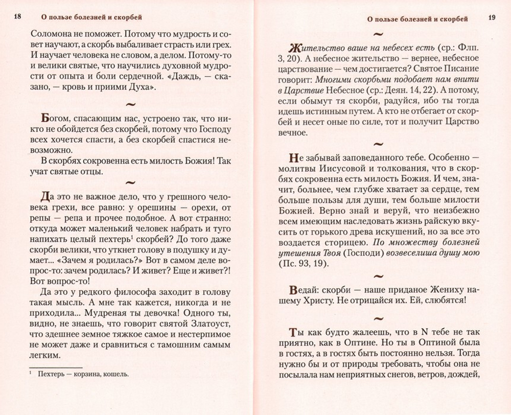 Ешь пирог с грибами, а язык держи за зубами. Слова назидательные преподобного Анатолия (Зерцалова)