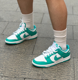 Мужские кроссовки Nike Dunk Low 'Clear Jade' DV0833-101