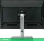 Монитор Asus ProArt PA248CNV черный (90LM05K1-B03370)