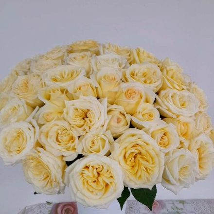 35 кремовых роз