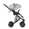 Коляска ANEX e/type 2 в 1 (et-SE05) Eden