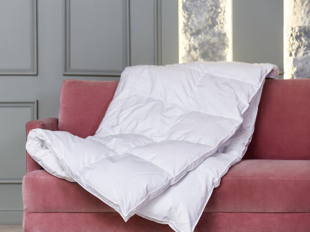 Одеяло всесезонное 160х220 German Grass White Familie Down с бортиком