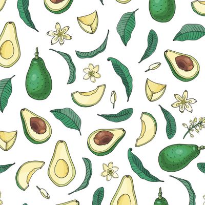 Авокадо с листьями на белом