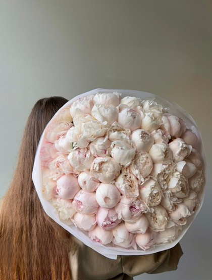 51 белый пион