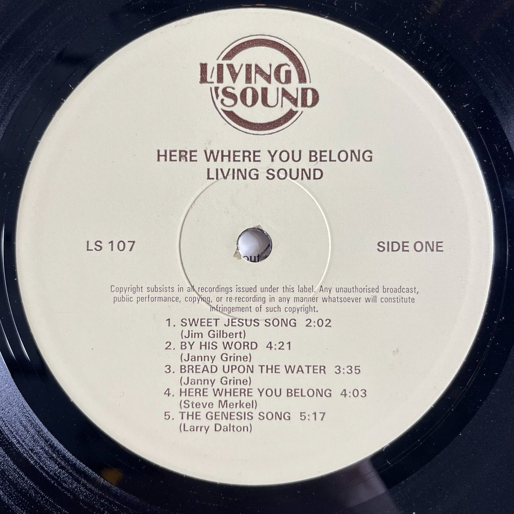 Винтажная виниловая пластинка LP Living Sound Here Where You Belong (UK 1977)