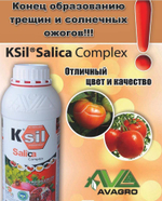 Ksil Salica Komplex