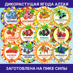 Рябина красная 500 гр. Алтайская "Зимняя" ягода сушеная