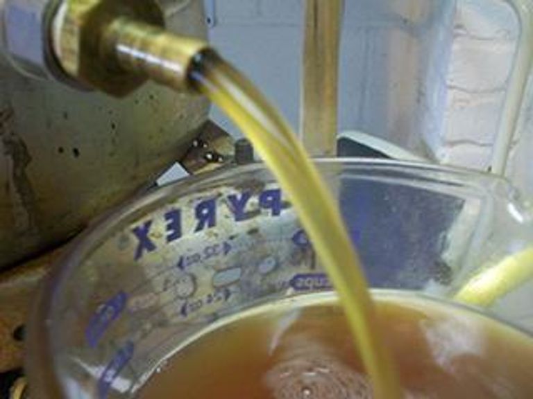 Правильному пиву - правильные дрожжи