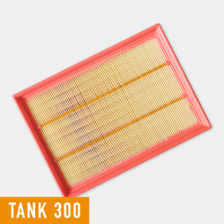 Фильтр воздушный Tank 300