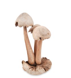 Decor and Gift 45-033 Статуэтка «Грибы» 15 см