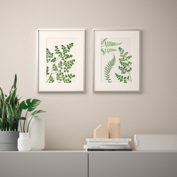 IKEA BILD  (ИКЕА БИЛД)  -  Плакат, папоротники, 30x40 см