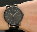 Мужские наручные часы Skagen SKW6577