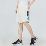 Шорты Puma Logo, 536925-65