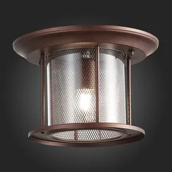 SL080.402.01 Светильник уличный потолочный ST-Luce Темный кофе/Прозрачный, Темный кофе E27 1*60W LASTERO