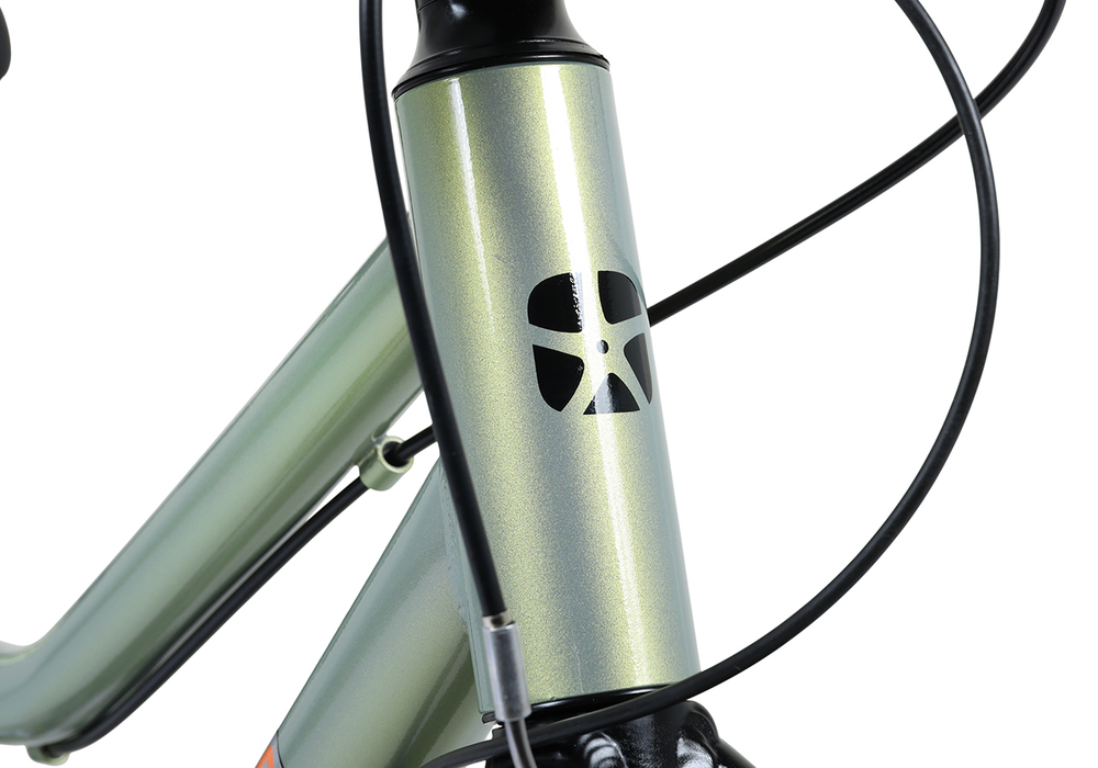 Велосипед 20'' Maxiscoo 3BIKE L Зеленый (2026)
